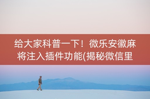 给大家科普一下！微乐安徽麻将注入插件功能(揭秘微信里插件购买)