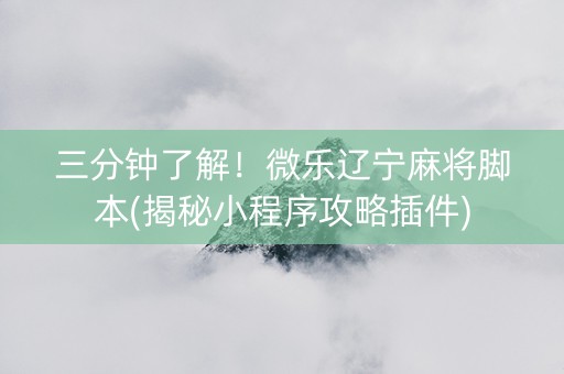 三分钟了解！微乐辽宁麻将脚本(揭秘小程序攻略插件)