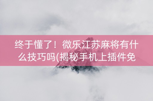 终于懂了！微乐江苏麻将有什么技巧吗(揭秘手机上插件免费)