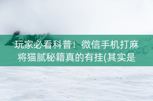 玩家必看科普！微信手机打麻将猫腻秘籍真的有挂(其实是有挂的)