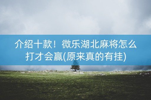 介绍十款！微乐湖北麻将怎么打才会赢(原来真的有挂)