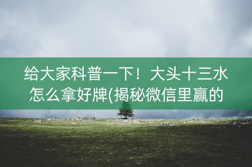 给大家科普一下！大头十三水怎么拿好牌(揭秘微信里赢的诀窍)
