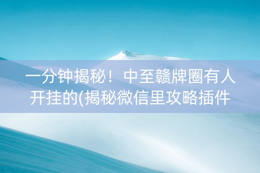 一分钟揭秘！中至赣牌圈有人开挂的(揭秘微信里攻略插件)