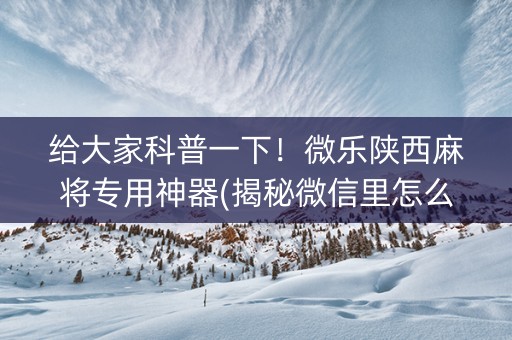 给大家科普一下！微乐陕西麻将专用神器(揭秘微信里怎么容易赢)