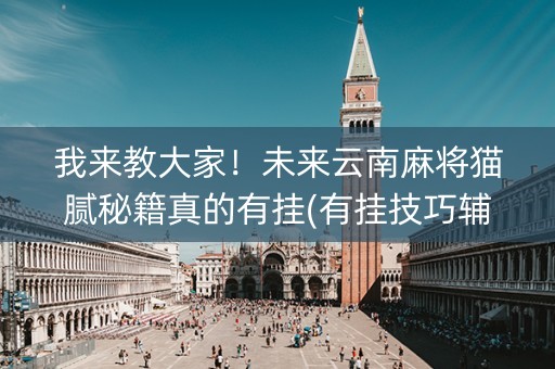 我来教大家！未来云南麻将猫腻秘籍真的有挂(有挂技巧辅助器)