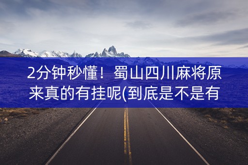 2分钟秒懂！蜀山四川麻将原来真的有挂呢(到底是不是有挂)