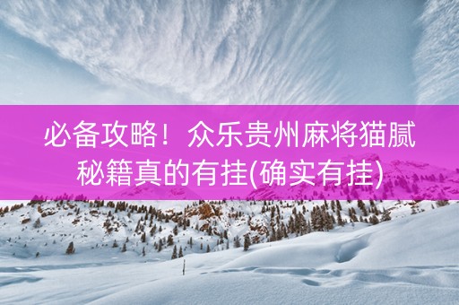 必备攻略！众乐贵州麻将猫腻秘籍真的有挂(确实有挂)