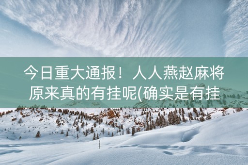 今日重大通报！人人燕赵麻将原来真的有挂呢(确实是有挂的)