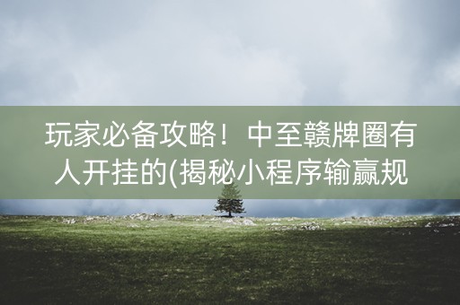玩家必备攻略！中至赣牌圈有人开挂的(揭秘小程序输赢规律)