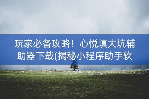玩家必备攻略！心悦填大坑辅助器下载(揭秘小程序助手软件)