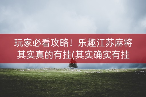 玩家必看攻略！乐趣江苏麻将其实真的有挂(其实确实有挂)
