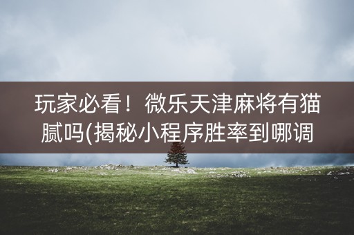 玩家必看！微乐天津麻将有猫腻吗(揭秘小程序胜率到哪调)
