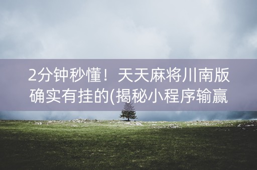 2分钟秒懂！天天麻将川南版确实有挂的(揭秘小程序输赢规律)