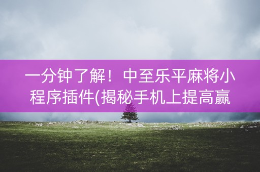 一分钟了解！中至乐平麻将小程序插件(揭秘手机上提高赢的概率)
