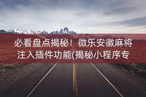 必看盘点揭秘！微乐安徽麻将注入插件功能(揭秘小程序专用神器)