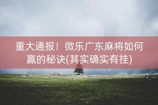 重大通报！微乐广东麻将如何赢的秘诀(其实确实有挂)
