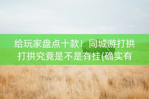 给玩家盘点十款！同城游打拱打拱究竟是不是有挂(确实有挂吗)