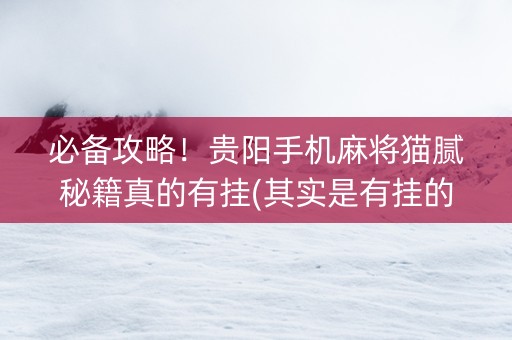 必备攻略！贵阳手机麻将猫腻秘籍真的有挂(其实是有挂的)