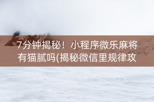 7分钟揭秘！小程序微乐麻将有猫腻吗(揭秘微信里规律攻略)