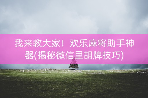 我来教大家！欢乐麻将助手神器(揭秘微信里胡牌技巧)