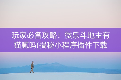玩家必备攻略！微乐斗地主有猫腻吗(揭秘小程序插件下载)