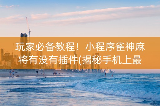 玩家必备教程！小程序雀神麻将有没有插件(揭秘手机上最新神器下载)