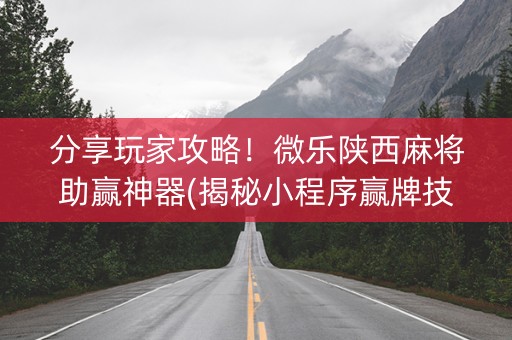 分享玩家攻略！微乐陕西麻将助赢神器(揭秘小程序赢牌技巧)