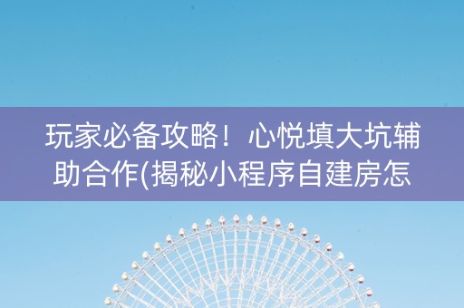 玩家必备攻略！心悦填大坑辅助合作(揭秘小程序自建房怎么赢)