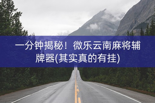 一分钟揭秘！微乐云南麻将辅牌器(其实真的有挂)