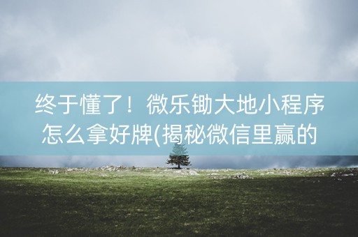 终于懂了！微乐锄大地小程序怎么拿好牌(揭秘微信里赢的诀窍)