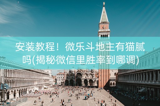 安装教程！微乐斗地主有猫腻吗(揭秘微信里胜率到哪调)