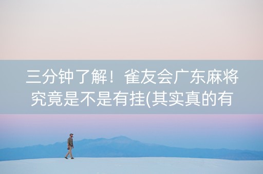 三分钟了解！雀友会广东麻将究竟是不是有挂(其实真的有挂)