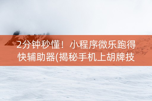 2分钟秒懂！小程序微乐跑得快辅助器(揭秘手机上胡牌技巧)