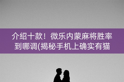介绍十款！微乐内蒙麻将胜率到哪调(揭秘手机上确实有猫腻)