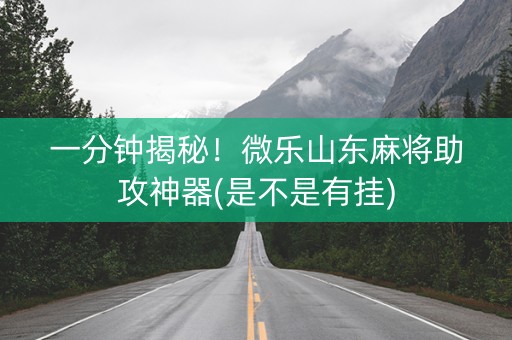 一分钟揭秘！微乐山东麻将助攻神器(是不是有挂)