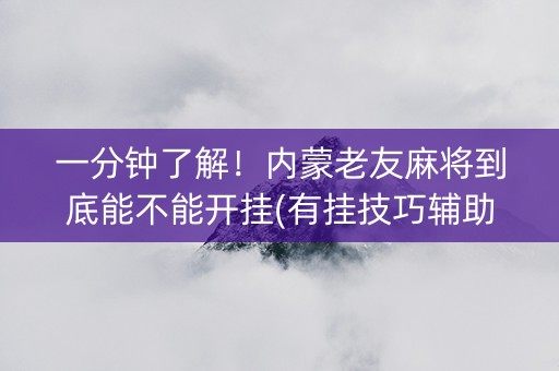 一分钟了解！内蒙老友麻将到底能不能开挂(有挂技巧辅助器)
