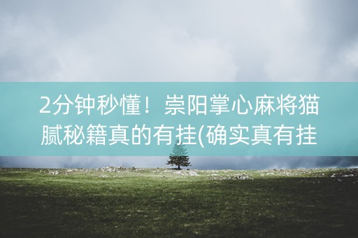 2分钟秒懂！崇阳掌心麻将猫腻秘籍真的有挂(确实真有挂)