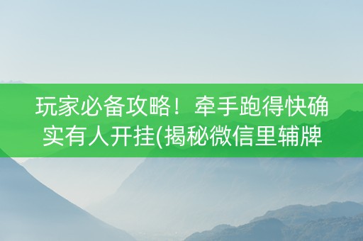 玩家必备攻略！牵手跑得快确实有人开挂(揭秘微信里辅牌器)