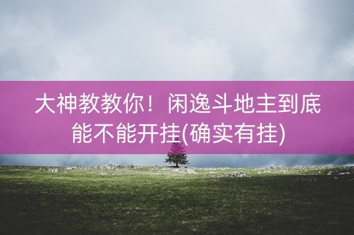 大神教教你！闲逸斗地主到底能不能开挂(确实有挂)