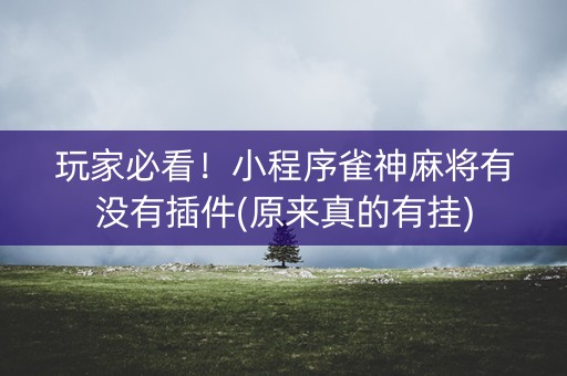 玩家必看！小程序雀神麻将有没有插件(原来真的有挂)
