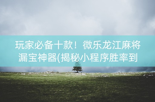 玩家必备十款！微乐龙江麻将漏宝神器(揭秘小程序胜率到哪调)