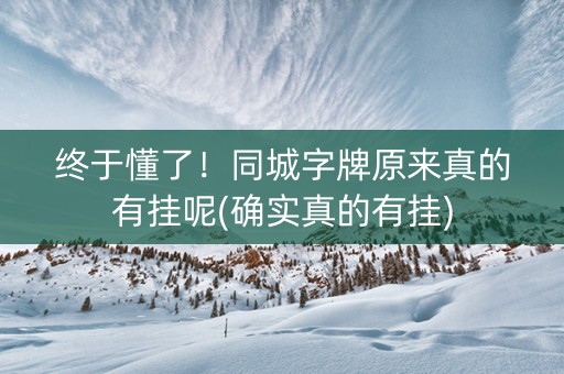 终于懂了！同城字牌原来真的有挂呢(确实真的有挂)