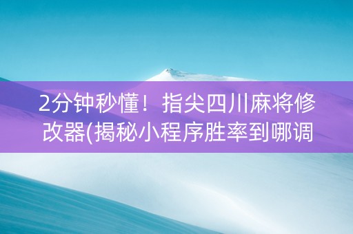 2分钟秒懂！指尖四川麻将修改器(揭秘小程序胜率到哪调)