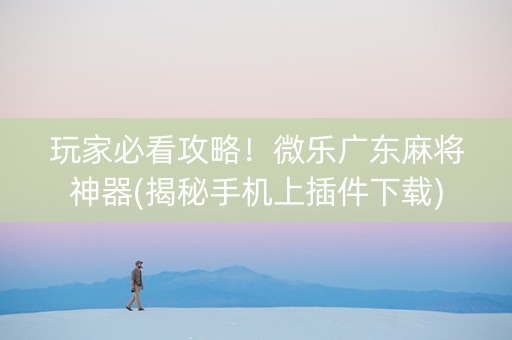 玩家必看攻略！微乐广东麻将神器(揭秘手机上插件下载)