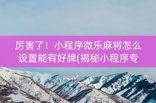 厉害了！小程序微乐麻将怎么设置能有好牌(揭秘小程序专用神器下载)