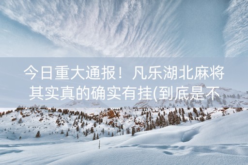 今日重大通报！凡乐湖北麻将其实真的确实有挂(到底是不是有挂)