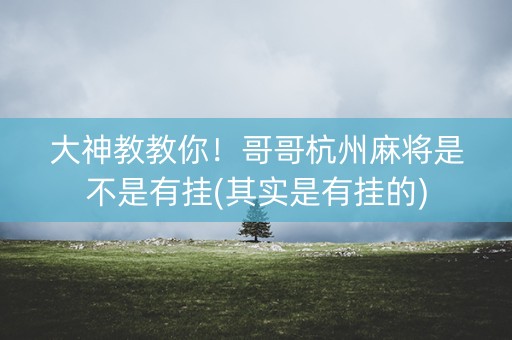 大神教教你！哥哥杭州麻将是不是有挂(其实是有挂的)