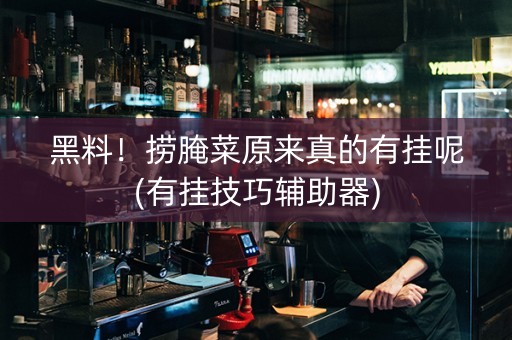 黑料！捞腌菜原来真的有挂呢(有挂技巧辅助器)