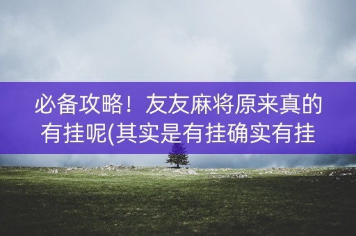 必备攻略！友友麻将原来真的有挂呢(其实是有挂确实有挂)