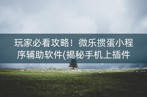 玩家必看攻略！微乐掼蛋小程序辅助软件(揭秘手机上插件购买)